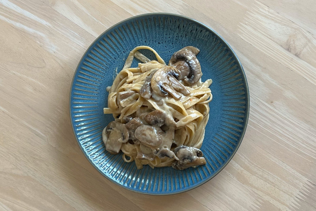 One Pot Creamy Mushroom Pasta